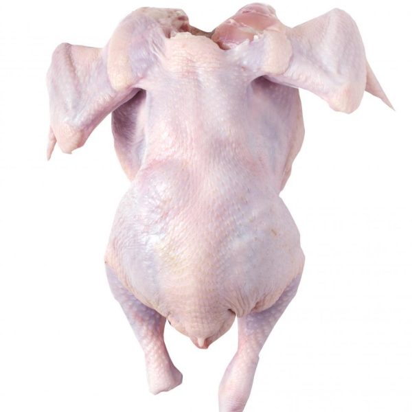 Chicken Meat Without Skin
